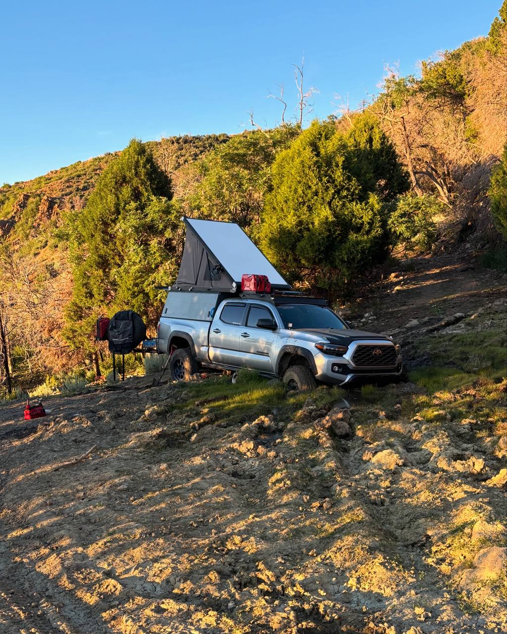 I got stuck and had to spend the night on Virgin Mountain in Gold Butte National Monument