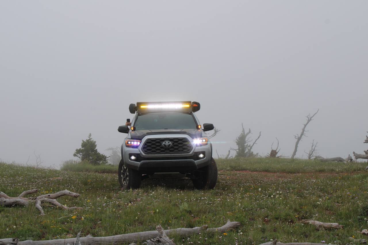 Foggy frontend head shots in Wyoming